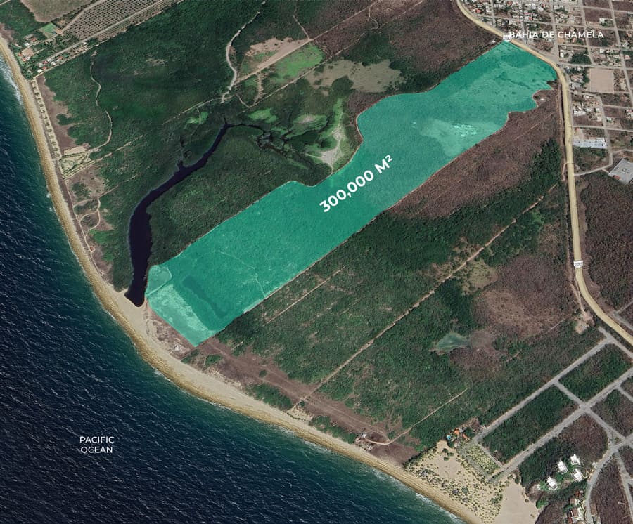bahia de chamela map